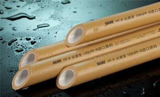 德国立乐怎么样,请问ppr水管什么品牌好